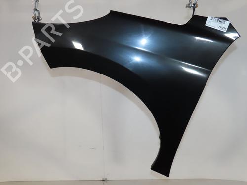 Used Left front fenders PEUGEOT 207 (WA_, WC_) 1.4 HDi (68 hp) 29414856