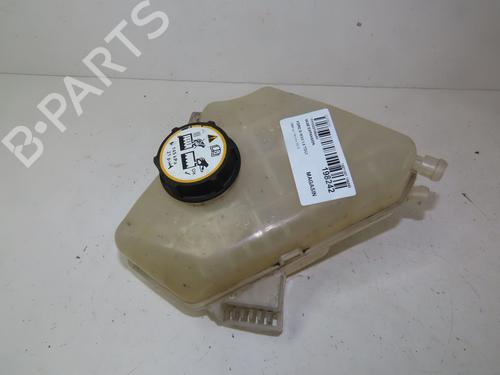 Deposito expansion FORD B-MAX (JK) 1.6 TDCi (95 hp) 17215105