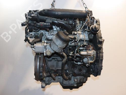 Engine OPEL MERIVA A MPV (X03) 1.7 CDTI (E75) | BP11046838M1 