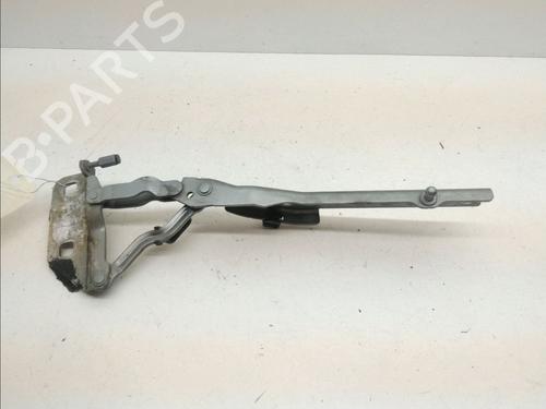 Hinge/Door check strap AUDI A8 D3 (4E2, 4E8) 3.0 TDI quattro | BP14960277C146