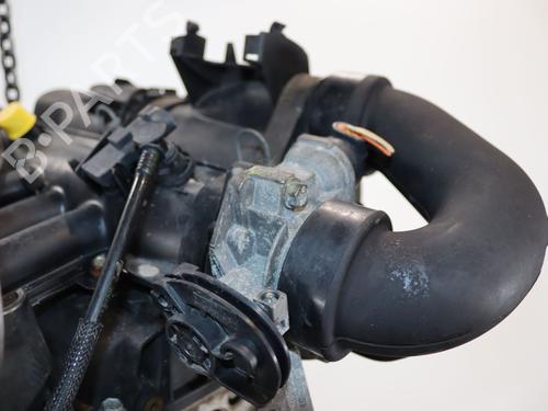 Used Engine Engine RENAULT TWINGO I (C06_) 1.2 (C066, C068) (58 hp) 36445178 36445178
