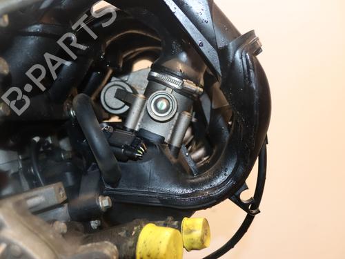 Used Engine FORD FIESTA V (JH_, JD_) 1.25 16V (75 hp) 31119723