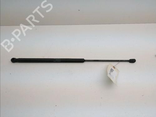 Used Tailgate lift support PEUGEOT 1007 (KM_) 1.4 HDi (68 hp) 14899468