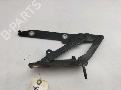 Used Hinge/Door check strap LAND ROVER RANGE ROVER SPORT I (L320) 3.0 D 4x4 (211 hp) 14897583