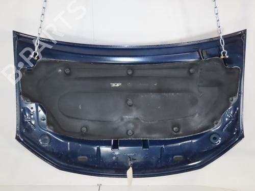 hood-dacia-sandero-ii-2012-33770080 main image