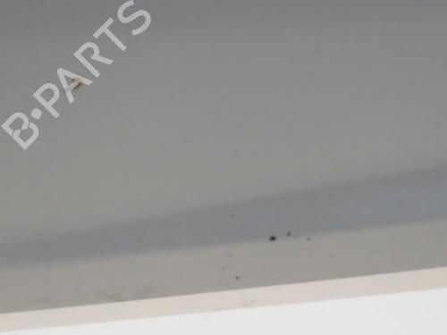 Left front door HYUNDAI i20 I (PB, PBT) 1.4 CRDi | BP26876785C2 