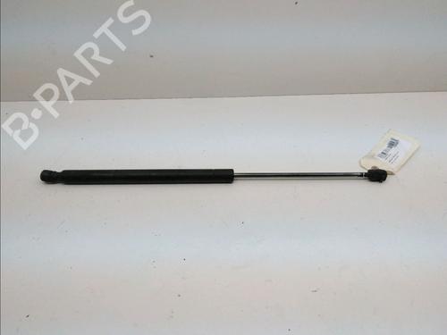 Used Tailgate lift support RENAULT MEGANE II Estate (KM0/1_) 1.5 dCi (KM16, KM1E) (106 hp) 14898816