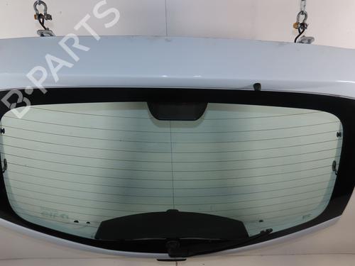 Tailgate DACIA SANDERO 1.2 16V | BP30916518C6 