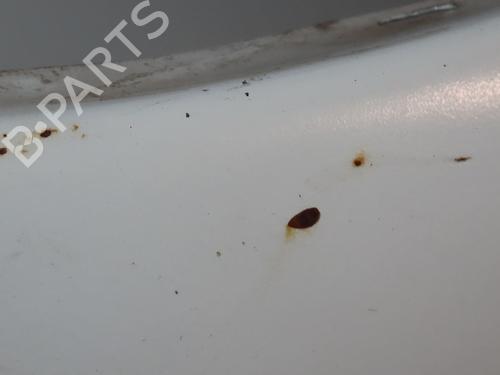 Used Left front fenders PEUGEOT 206 Hatchback (2A/C) 1.4 HDi eco 70 (68 hp) 32075884