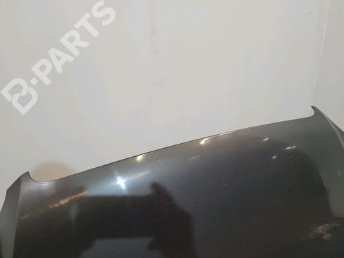 Hood FIAT DOBLO Box Body/MPV (223_) 1.3 D Multijet | BP9029180C1 