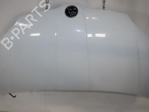Hood SKODA CITIGO (NF1) 1.0 | BP29740254C1 