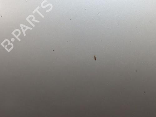 Used Hood HYUNDAI i20 I (PB, PBT) 1.4 CRDi (90 hp) 25300236