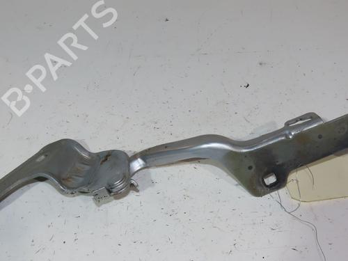 Used Hinge/Door check strap RENAULT CLIO III (BR0/1, CR0/1) 1.5 dCi (C/BR0G, C/BR1G) (68 hp) 23162344