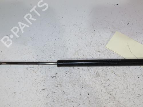 tailgate-lift-support-fiat-500-312_-2007-24378847 main image