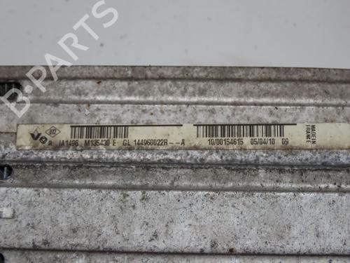Other RENAULT SCÉNIC III (JZ0/1_) 1.9 dCi (JZ0J, JZ1J, JZ1K, JZ1S) | BP24601325O1 