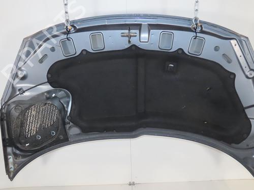 Used Hood PEUGEOT 206+ (2L_, 2M_) 1.4 HDi eco 70 (68 hp) 28033478