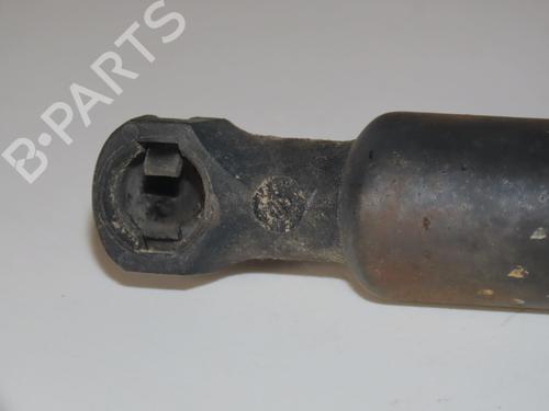 Used Tailgate lift support RENAULT GRAND SCÉNIC III (JZ0/1_) 1.5 dCi (JZ09, JZ0D, JZ10, JZ14, JZ1G, JZ29, JZ2C) (110 hp) 30825235