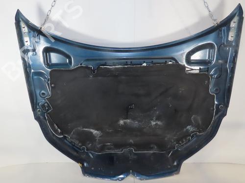 Used Hood CITROËN C5 III (RD_) 1.6 HDi 110 (RD9HL0, RD9HR8, RD9HRA) (112 hp) 26014661