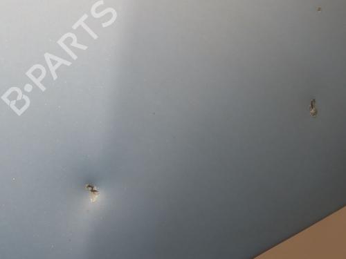 Used Hood RENAULT CLIO II (BB_, CB_) 1.9 D (B/CB0E, BB0J) (64 hp) 24832911