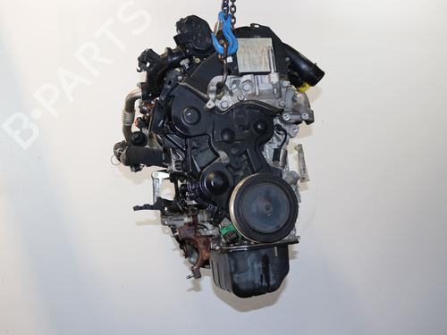 Engine FORD FIESTA VI (CB1, CCN) 1.5 TDCi | BP24419819M1 