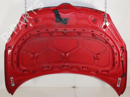 Hood SKODA FABIA II (542) 1.2 12V | BP29293912C1 