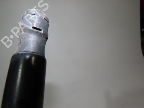 Used Tailgate lift support FORD FOCUS III 1.6 TDCi (115 hp) 23164232