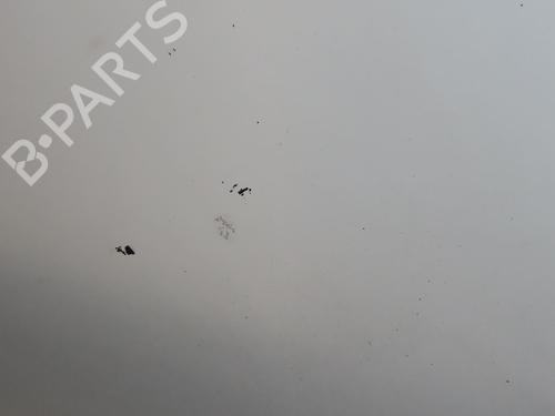 Used Hood RENAULT KANGOO Express (FW0/1_) 1.5 dCi 110 (FW0C, FW0H) (109 hp) 18066569