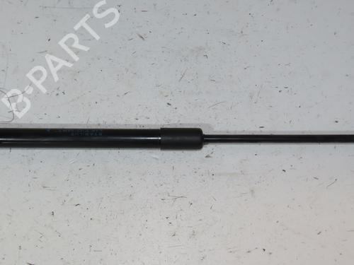 Gasdæmper bagklap RENAULT TWINGO II (CN0_) [2007-2026]  29344732