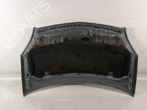 Used Hood Hood OPEL ZAFIRA / ZAFIRA FAMILY B (A05) 1.9 CDTI (M75) (120 hp) 9012502 9012502