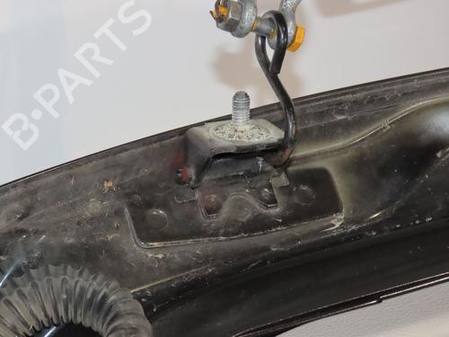 Used Tailgate Tailgate 39419098 39419098