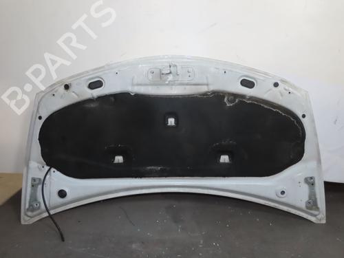 Hood RENAULT CLIO III (BR0/1, CR0/1) 1.5 dCi | BP20299744C1 