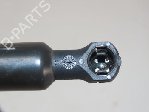 Used Tailgate lift support RENAULT SCÉNIC III (JZ0/1_) 1.5 dCi (110 hp) 31078182