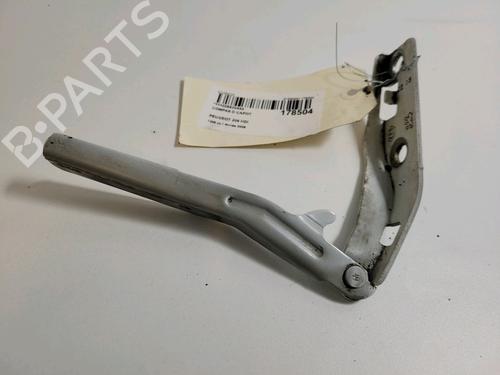 Hinge/Door check strap PEUGEOT 206 Hatchback (2A/C) 1.4 HDi eco 70 | BP14897551C146 