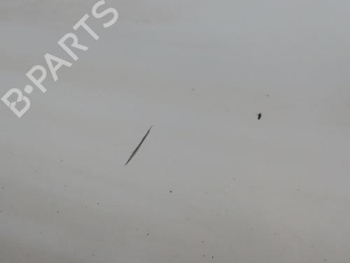 Used Right front door FIAT FIORINO Box Body/MPV (225_) 1.3 D Multijet (225BXD1A, 225BXB1A, 225BXB11) (75 hp) 28801131