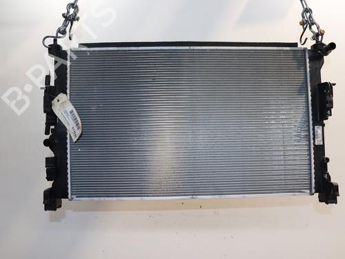 Køler RENAULT MEGANE E-TECH SUV EV60 (BNJ1) | BP29494440M31 