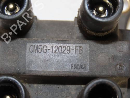Used Ignition coil FORD FIESTA VI (CB1, CCN) 1.25 (82 hp) 24651314