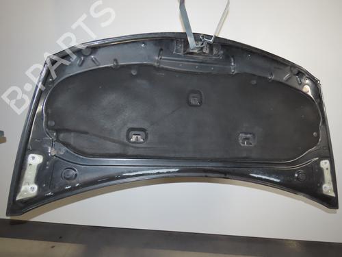 Hood RENAULT CLIO III (BR0/1, CR0/1) 1.5 dCi (BR17, CR17) | BP17802939C1 