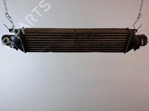 Used Other FIAT DOBLO Cargo (263_) 1.3 D Multijet (90 hp) 14894931