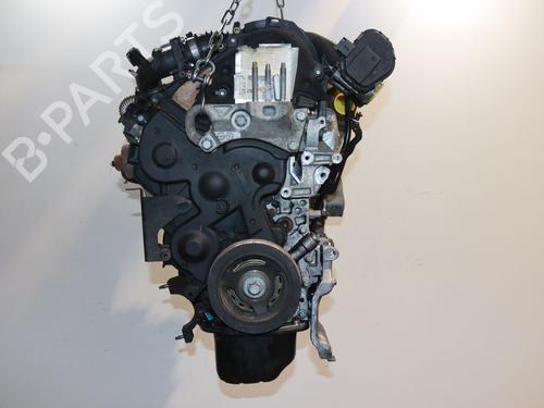 Engine FORD FIESTA VI (CB1, CCN) 1.6 TDCi | BP12846850M1