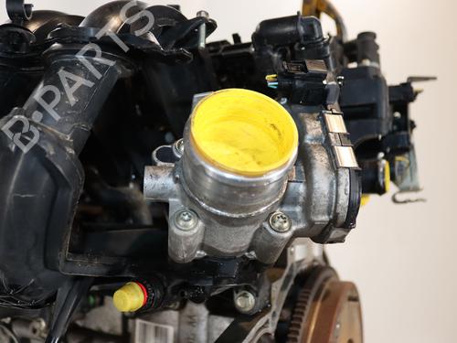 Motor Motor FORD FIESTA VI (CB1, CCN) 1.25 (82 hp) 34255573 34255573