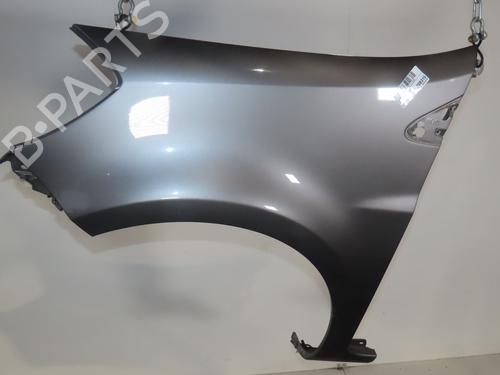 Left front fenders RENAULT CLIO III (BR0/1, CR0/1) 1.5 dCi (BR17, CR17) | BP29016583C41 