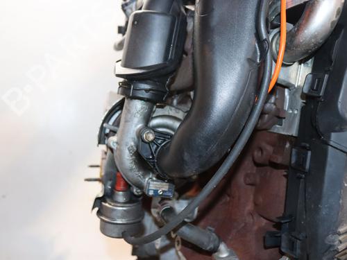Moteur RENAULT MEGANE III Grandtour (KZ0/1) 1.5 dCi (KZ09, KZ0D, KZ1G, KZ29, KZ14, KZ1W, KZ10, KZ1F,... (110 hp) 30605936