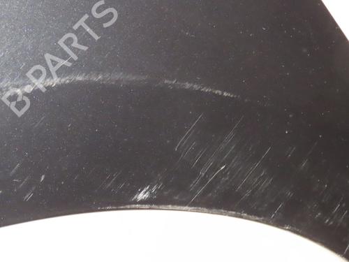 Left front fenders RENAULT CLIO III (BR0/1, CR0/1) 1.5 dCi (BR17, CR17) | BP27602845C41 