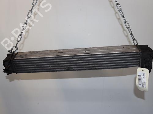 Used Other RENAULT SCÉNIC III (JZ0/1_) 1.5 dCi (110 hp) 25150147