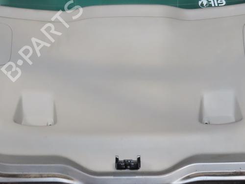 Used Tailgate RENAULT SCÉNIC III (JZ0/1_) 1.5 dCi (110 hp) 30798279