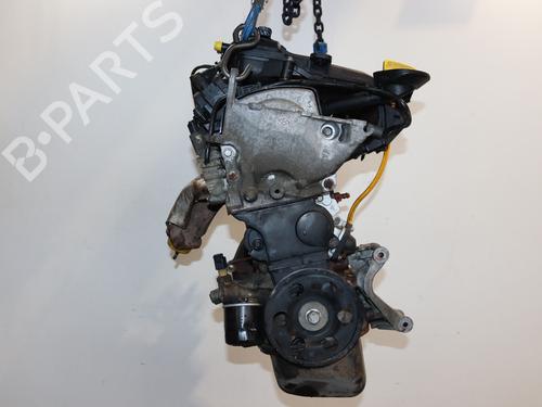 Engine RENAULT TWINGO II (CN0_) 1.2 16V (CN04, CN0B) | BP28969964M1 