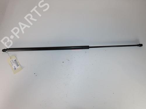 Used Tailgate lift support RENAULT TRAFIC II Bus (JL) 2.0 dCi 115 (JL00, JL01, JL0H, JL0M, JL0U) (114 hp) 28007491