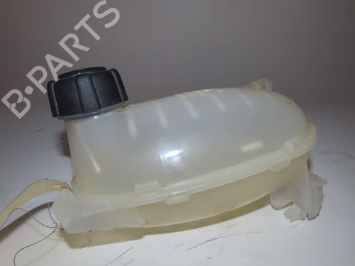 Used Expansion tank DACIA SANDERO III 1.0 TCe 90 (91 hp) 23159803