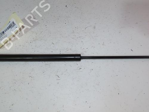 Tailgate lift support PEUGEOT 206 Hatchback (2A/C) 1.4 HDi eco 70 | BP29516618C138 