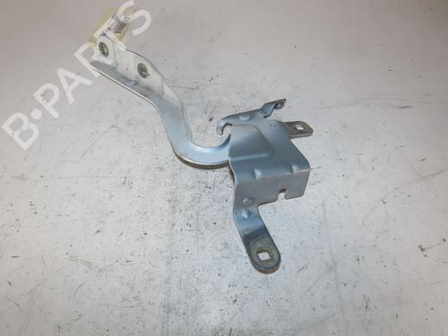 Hinge/Door check strap RENAULT CLIO IV (BH_) 1.5 dCi 75 | BP29644134C146 